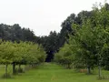 Streuobstwiese Heithöfen Inh. H.Premke in Bad Essen